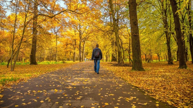 過去の研究では１日平均４０００～５０００歩を米国人は歩くとの結果が出ている。運動アプリでさらに歩数が伸びる？/Shutterstock