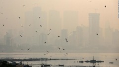 南アジアの大気汚染、妊娠損失のリスクに関連　新研究