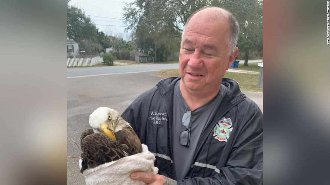 ハクトウワシは治療のために保護団体に搬送された/Pasco County Fire Rescue Station 21