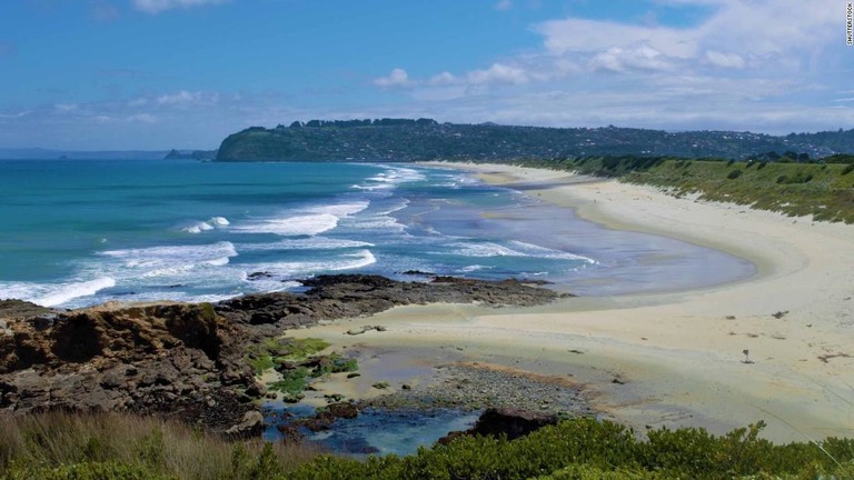 ニュージーランドの南島、ダニーデン市の海岸/Shutterstock