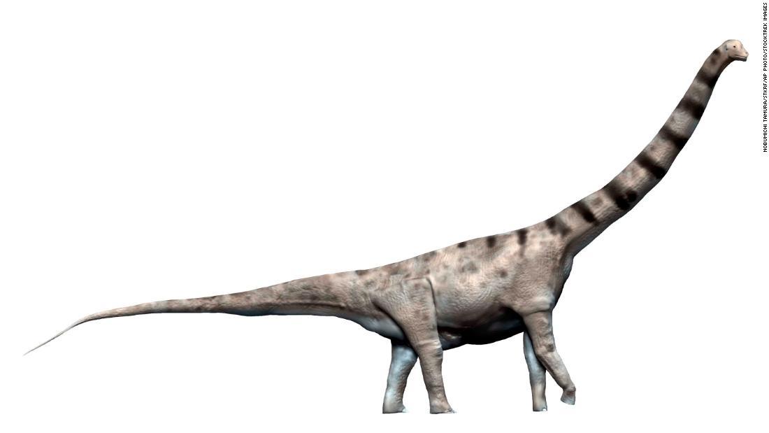 発見された恐竜の体重はアルゼンティノサウルスを超える可能性があるという/Nobumichi Tamura/STKRF/AP Photo/Stocktrek Images