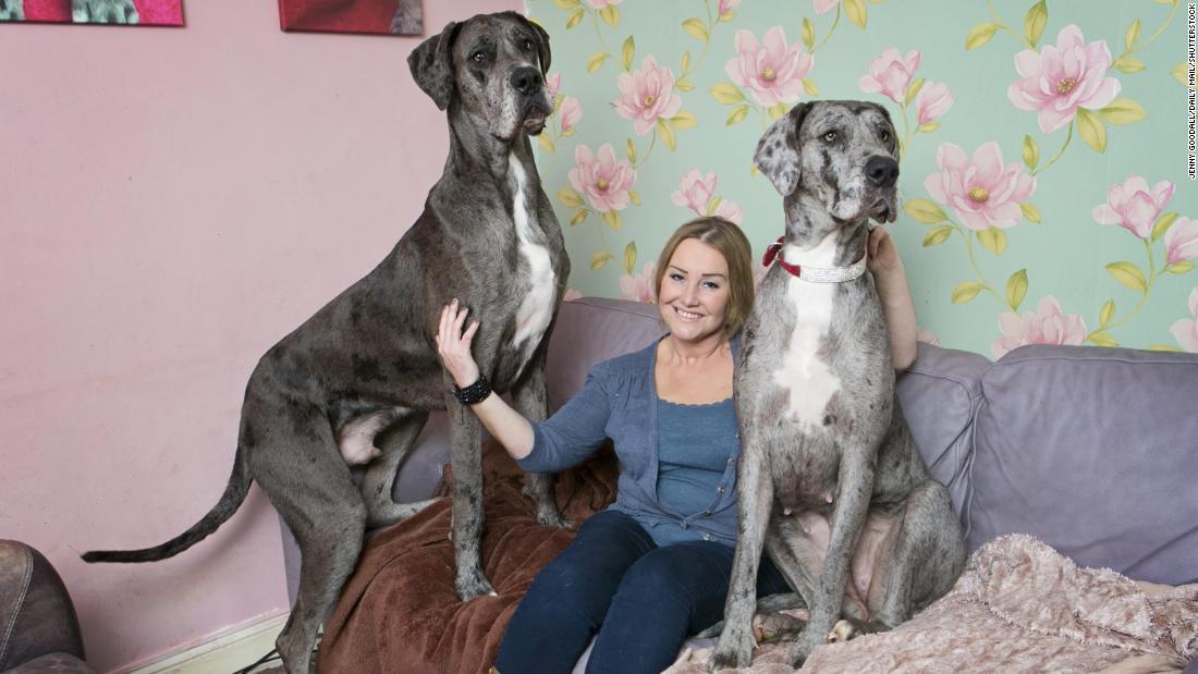 フレディ（左）と飼い主のクレア・ストーンマンさん/Jenny Goodall/Daily Mail/Shutterstock