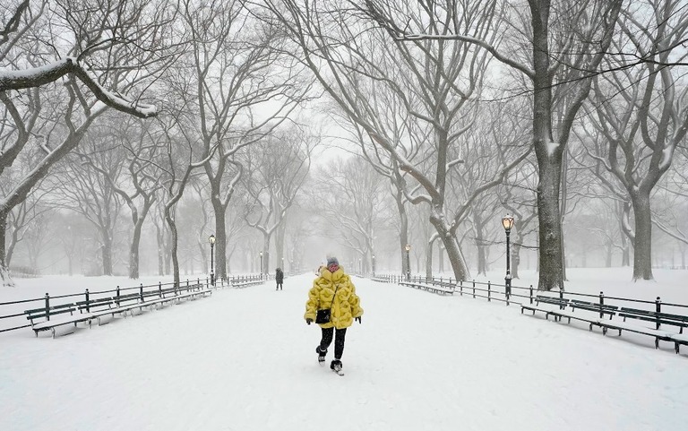 一面の雪で覆われたニューヨークのセントラルパークを歩く女性/Timothy A. Clary/AFP/Getty Images