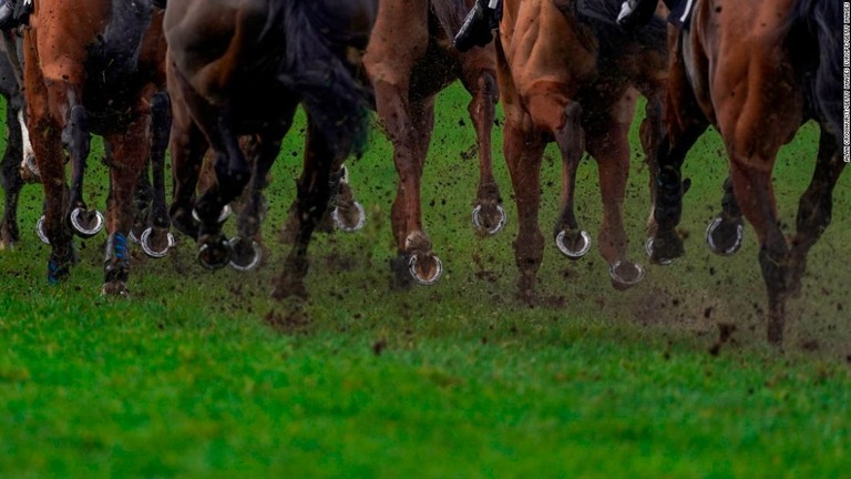 死んだ馬に騎手が飛び乗る映像がＳＮＳで拡散し、アイルランドのアマチュア騎手が謝罪した/Alan Crowhurst/Getty Images Europe/Getty Images