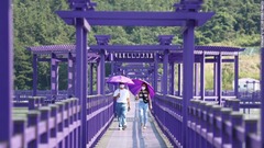 多くの観光客はフェリーで島を訪れ、紫色の橋を渡って市内に入る