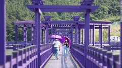 多くの観光客はフェリーで島を訪れ、紫色の橋を渡って市内に入る