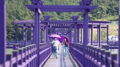 インスタ映えする紫の島「バンウォル島」　韓国