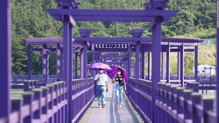 韓国のバンウォル島はインスタ映えする「パープルアイランド（紫の島）」として知られている/Courtesy of Shinan County Office