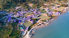各地を紫色に染め上げたバンウォル島は、インスタ映えする島として人気を集めている