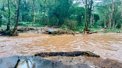 マウイ島で豪雨被害、住宅や橋が損壊　ダム決壊で住民避難　ハワイ