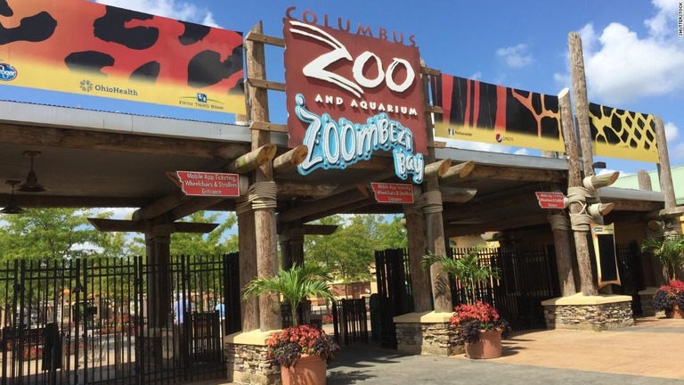 米オハイオ州の動物園で、飼育員がチーターに襲われ負傷した/Shutterstock