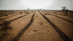 長さ８０００キロ、幅１５キロにわたり樹木や草原などを組み合わせて育てていく