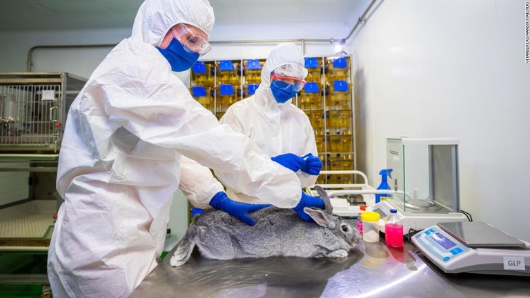 ウサギを使って動物向け新型コロナワクチンの実験を行うロシアの専門家/VETANDLIFE.RU/Handout/Reuters