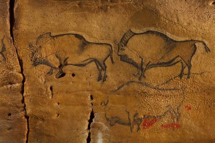 スペイン北部のコバシエジャ洞窟に描かれた野牛の絵/Image Professionals GmbH/Alamy Stock Photo