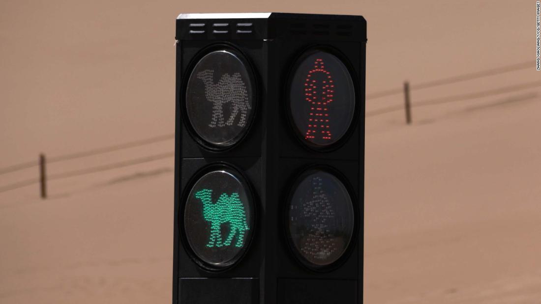 ラクダのための信号は１１日から運用開始/Zhang Xiaoliang/VCG/Getty Images