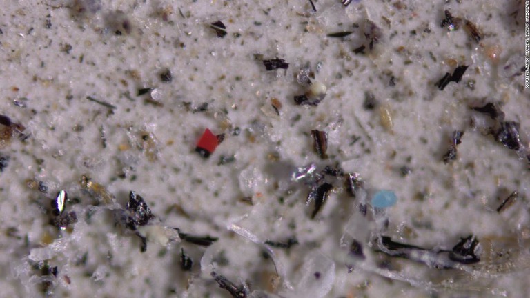 マイクロプラスチックは浮遊して地球を巡るという研究が発表された/Courtesy Janice Brahney, Natalie Mahowald