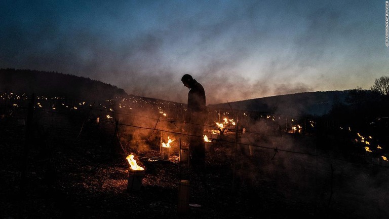 ブドウの木の周りに火をともすワイン生産者＝仏ブルゴーニュのシャブリ近郊/Jeff Pachoud/AFP/Getty Images