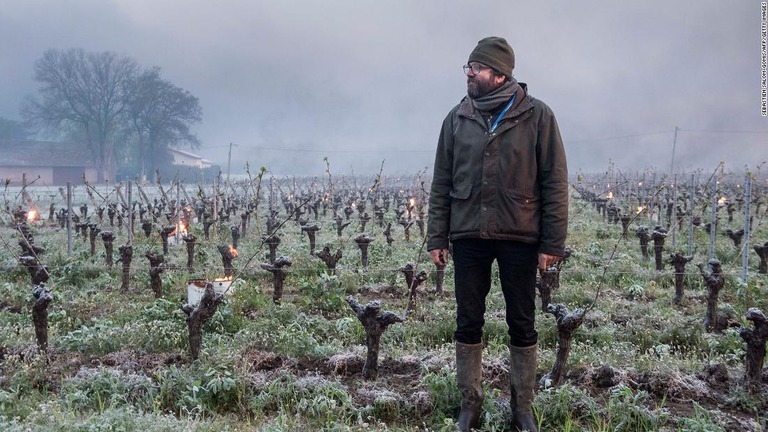 ブドウの木を見回るワイン生産者＝１２日、フランス西部ナント近郊/Sebastien Salom-Gomis/AFP/Getty Images