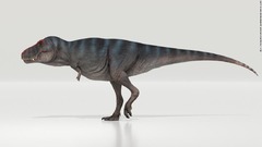 肉食恐竜Ｔレックスの歩行速度、驚くほど遅かった　新研究