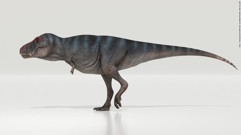 ティラノサウルス・レックスの新たな歩行速度が発表された/Rick Stikkelorum/Arthur Ulmann/Pasha van Bijlert