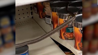 スーパーの棚に現れたヘビを買い物客の女性が撮影した　