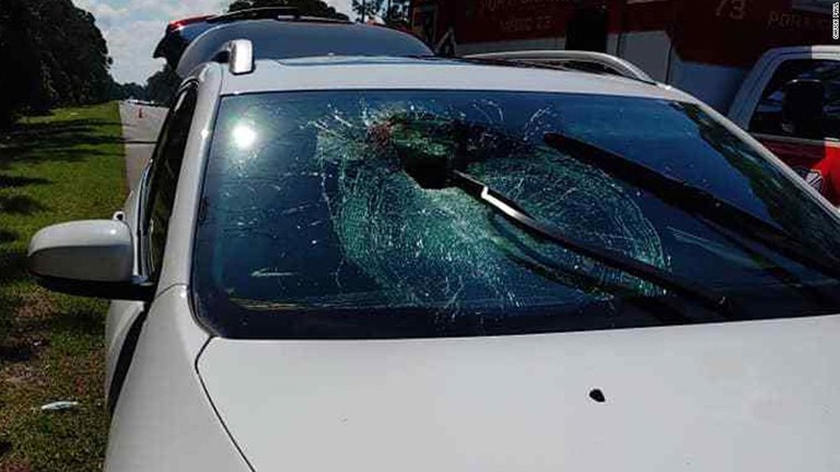 米フロリダ州ポートオレンジの高速道路でカメが通行中の車のフロントガラスを突き破り、女性がけがを負った/Chuck Paul