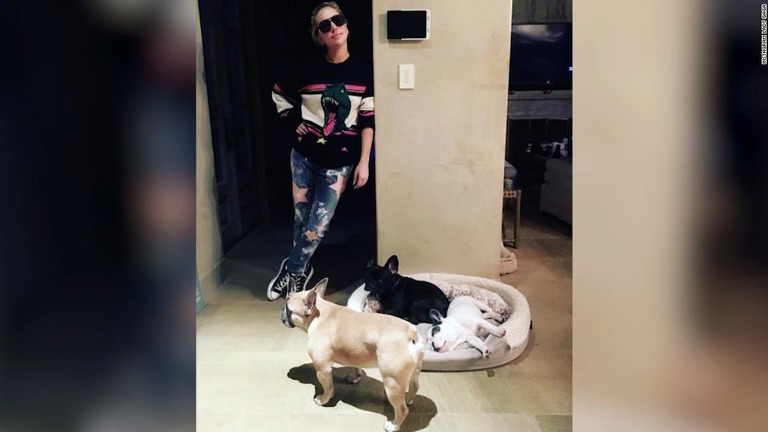 ガガさんは、犬が無事戻ってくれば５０万ドルを支払うと表明していた/Instagram Lady Gaga 