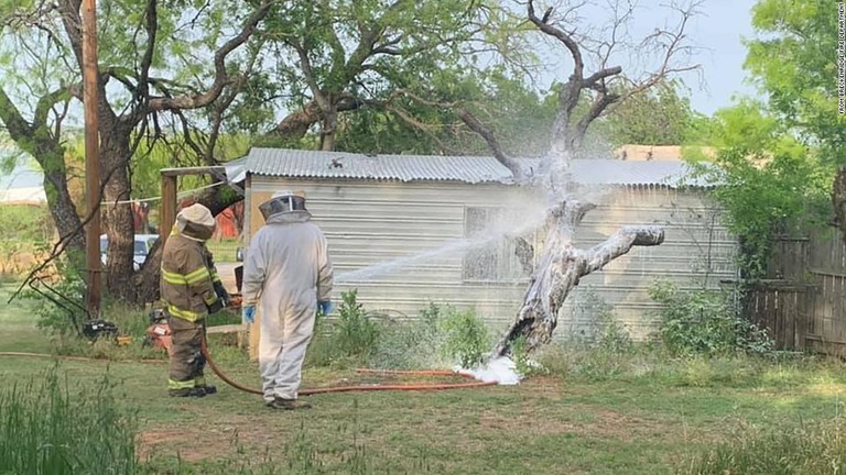 ハチの巣の撤去を行う養蜂家と消防士/From Breckenridge Fire Department