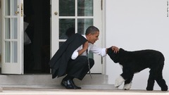 オバマ大統領とボー＝２０１２年３月