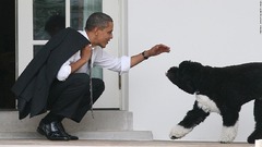 オバマ夫妻、愛犬ボーの死を報告　ホワイトハウス時代からの「親友」