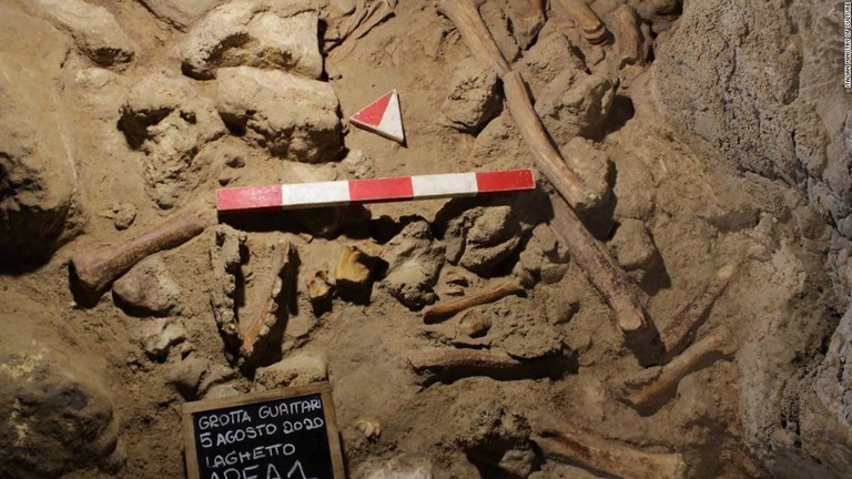 イタリアのガタリ洞窟でネアンデルタール人やハイエナ、象の骨が見つかった/Italian Ministry of Culture