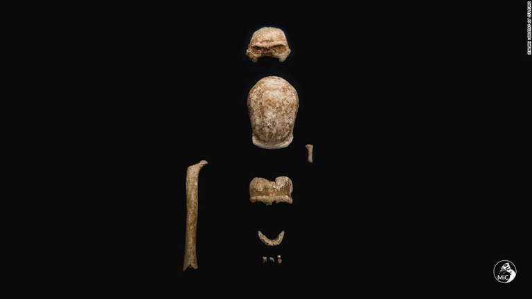 洞窟で発見されたネアンデルタール人の骨/Italian Ministry of Culture