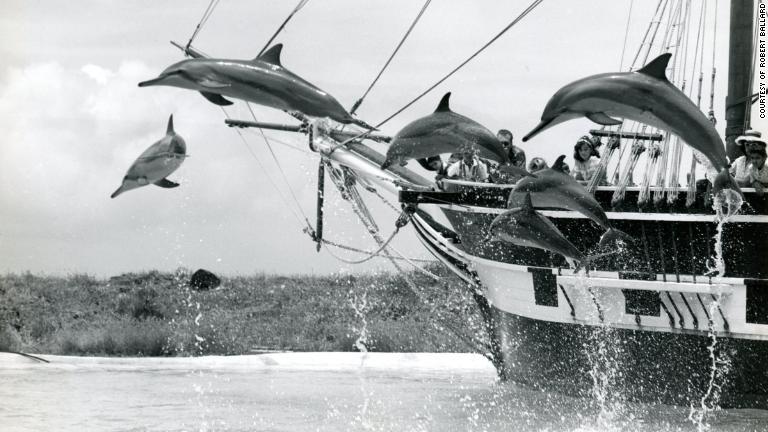 １９６５年から６６年にかけてハワイ・シーライフ・パークでイルカの訓練士として働いたこともある/Courtesy of Robert Ballard