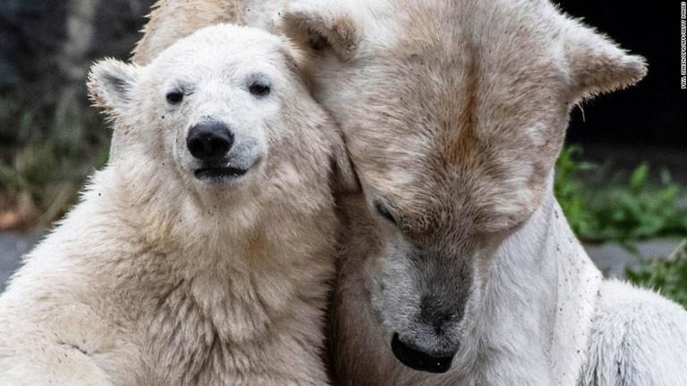 ヘルタ（写真左）と母親のトーニャ＝２０１９年６月/PAUL ZINKEN/DPA/AFP/Getty Images