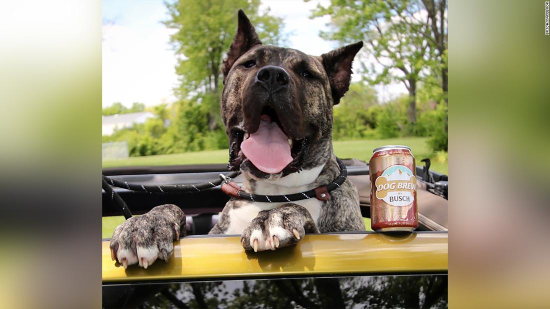Cnn Co Jp ビールブランド ブッシュ 最高味見責任者を任命 犬用飲料の新製品で Cnn Co Jp ビールブランド ブッシュ 最高味見責任者を任命 犬用飲料の新製品で