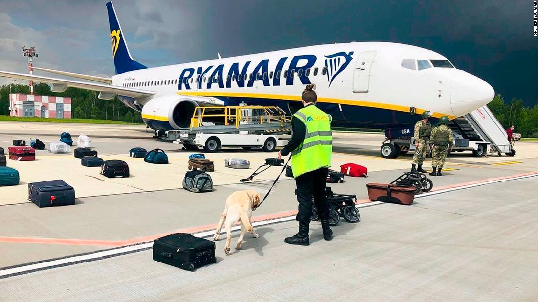 緊急着陸したライアンエア機の乗客の荷物を調べる探知犬＝２３日/ONLINER.BY via AP