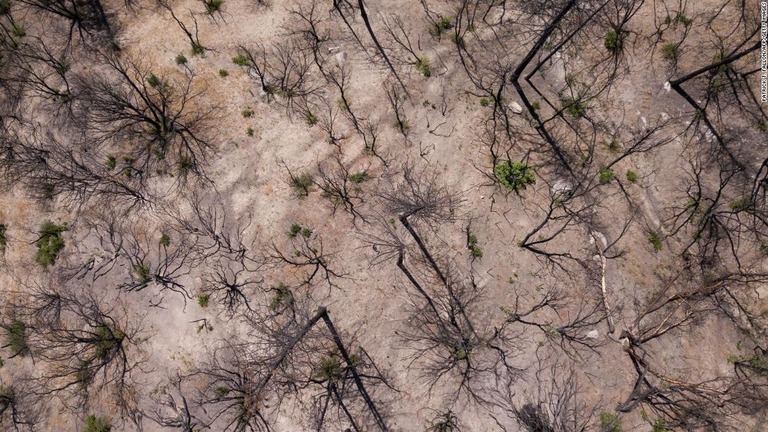 米カリフォルニア州で発生した山火事＝２５日/PATRICK T. FALLON/AFP/Getty Images