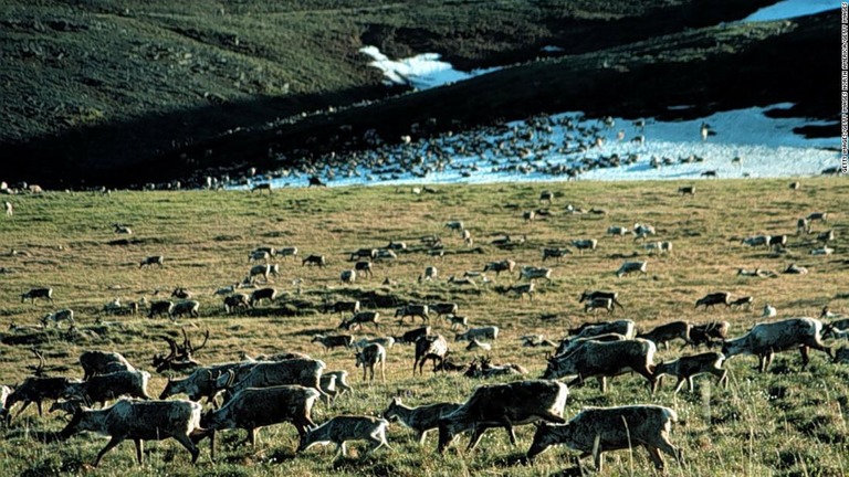 米アラスカ州の北極圏国立野生生物保護区＝２００３年３月１９日/Getty Images/Getty Images North America/Getty Images