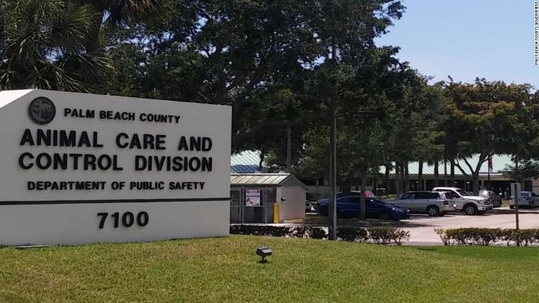死んだイグアナが搬送される予定だったフロリダ州パームビーチ郡の動物医療施設/Palm Beach County Government