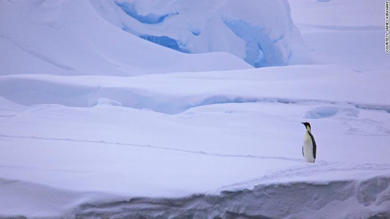 １９９２～２０１７年にかけ、南極では２兆７０００億トンの氷が消滅した/Courtesy James Kirkham