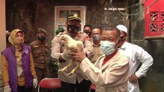 ワクチン接種すれば「生きた鶏」を無料贈呈、インドネシア