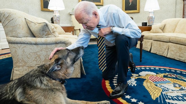 champ-dog-joe-biden-02-24-2021-super-169.jpg