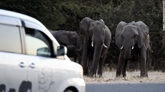 アフリカ・ボツワナでは野生生物が利用する「回廊」の内部や周辺で人間と動物との接触が起きている