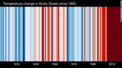 北極海の温度変化。１８９３年以降を表示