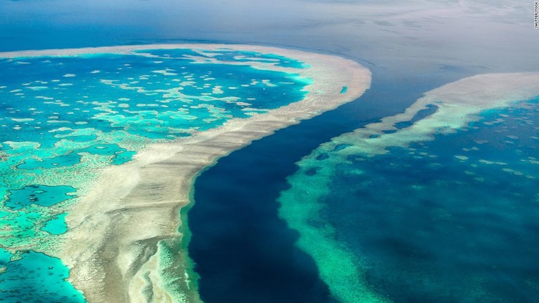 ユネスコがグレートバリアリーフを「危機遺産」に登録するよう勧告した/Shutterstock