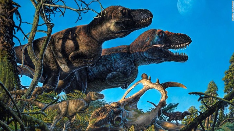 ７０００万年以上前の北極圏で、複数の種の恐竜が子どもを産んでいたという/courtesy James Havens