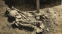 最古のサメ襲撃の犠牲者、日本で発見　３０００年以上前