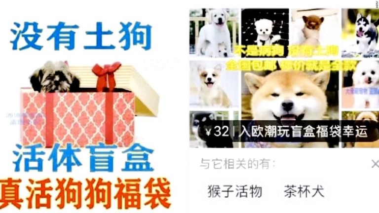 広告では「病気の犬はない」などとうたっている/CCTV