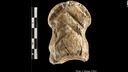 ネアンデルタール人、シカの骨に装飾目的の彫刻　独研究
