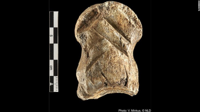 ネアンデルタール人によるものとみられる切れ込みの入ったシカの足指の骨/V. Minkus/NLD